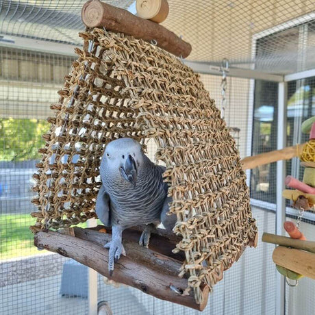 Aussie Triangle Hut