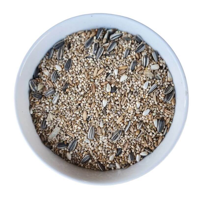 Avigrain Cockatiel Blue 20kg