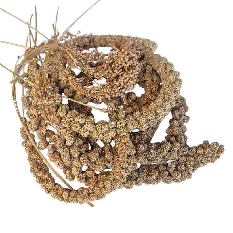Avione Mixed Millet Sprays