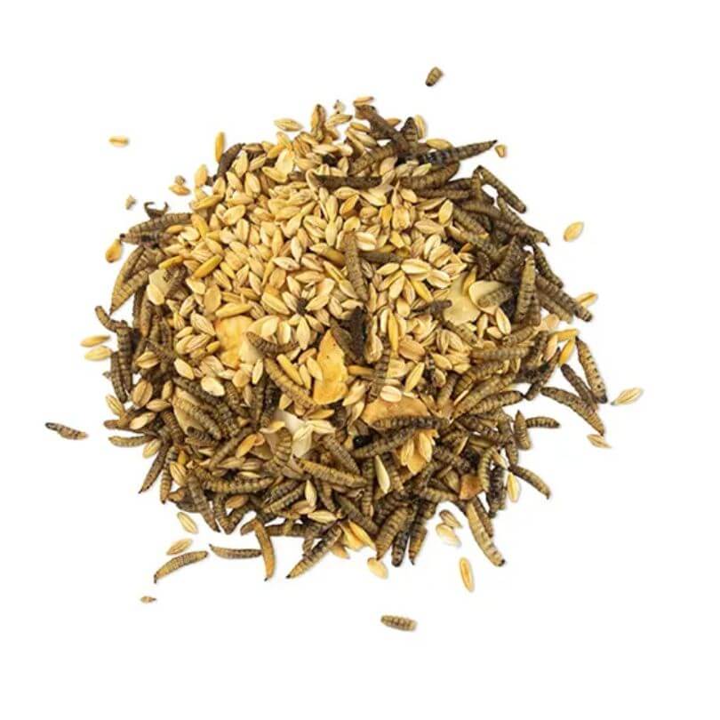 Bainbridge Morning Mix - Black Soldier Fly Larvae, Banana and Almonds Treat 680g