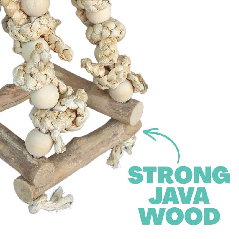 Bird Naturals Java Hut Swing