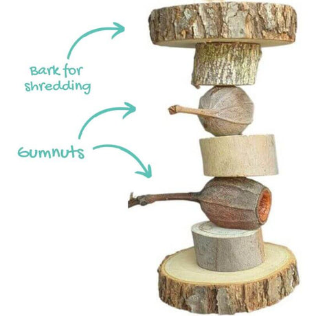 Barbell Gumnut Foot Toy