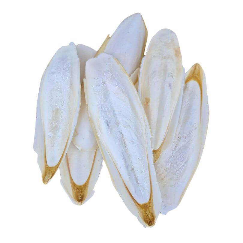 Breeders Delight Natural Cuttlebone 500g