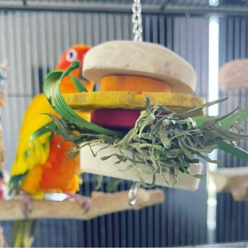 Java Burger
