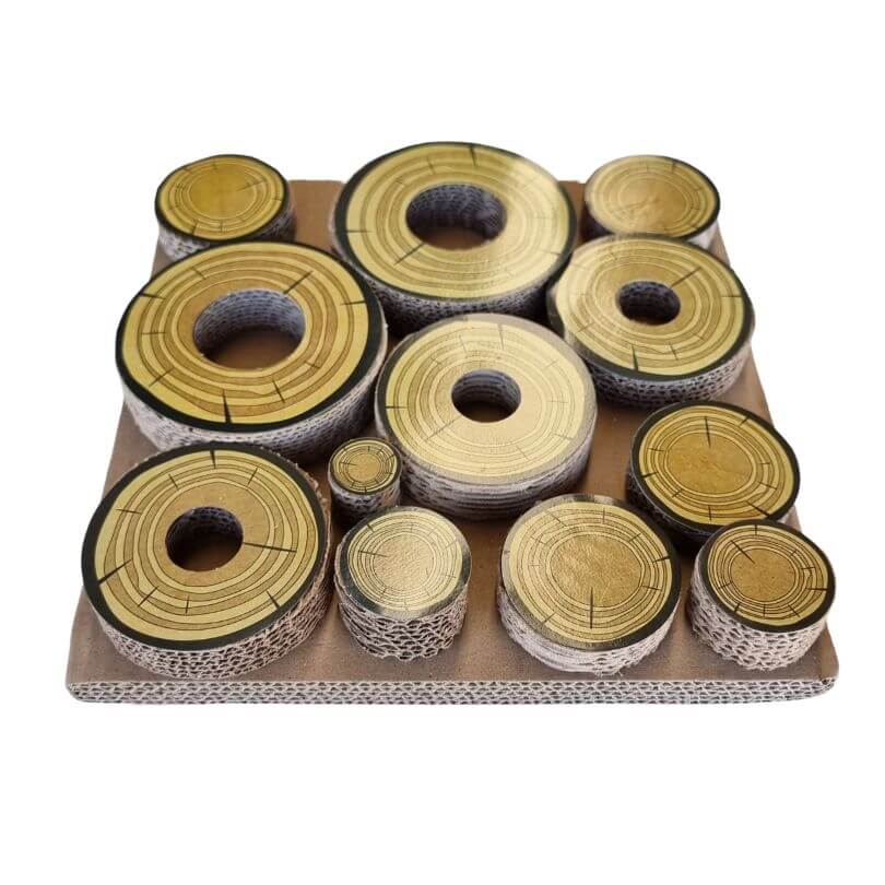 Cardboard Forage Maze