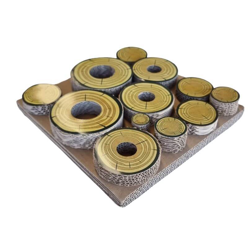 Cardboard Forage Maze