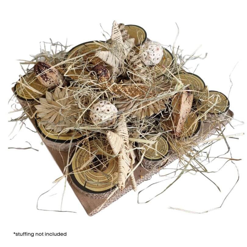 Cardboard Forage Maze