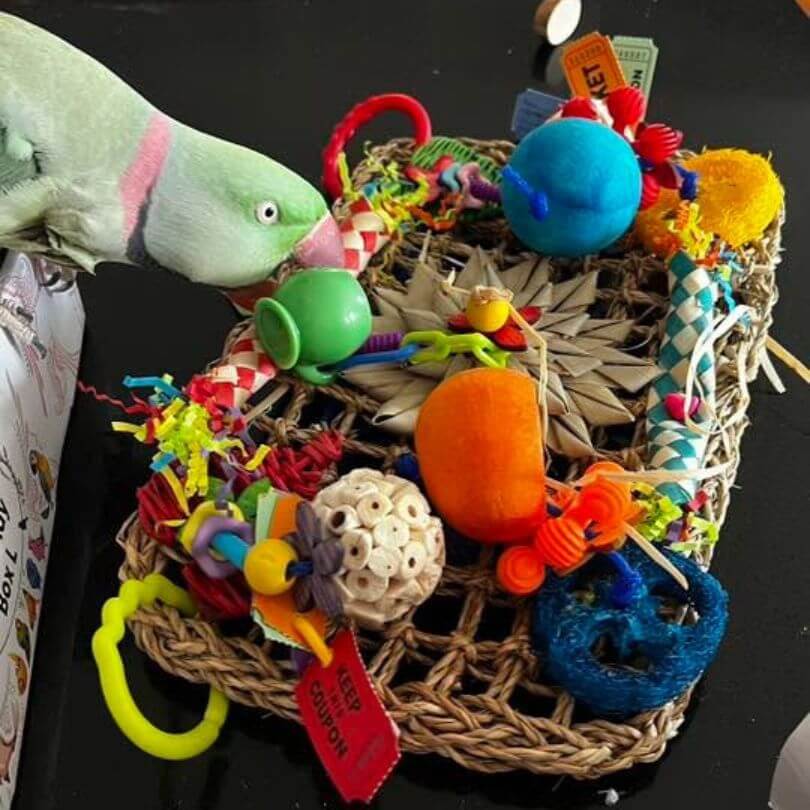 Carnival Rectangle Play Wall