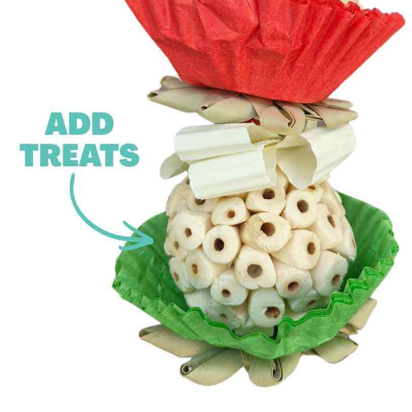 Close up of a Christmas Sola Cupcake showing its festive patty pan and paper ribbon