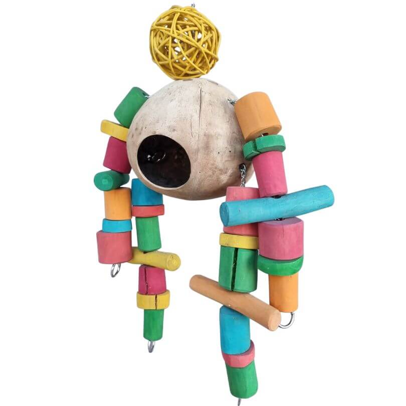 Coco Robot Forager