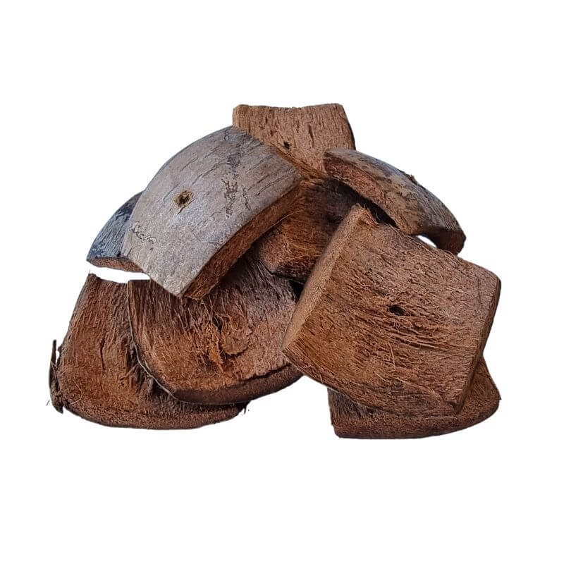 Coconut Husk Chunks 10pk