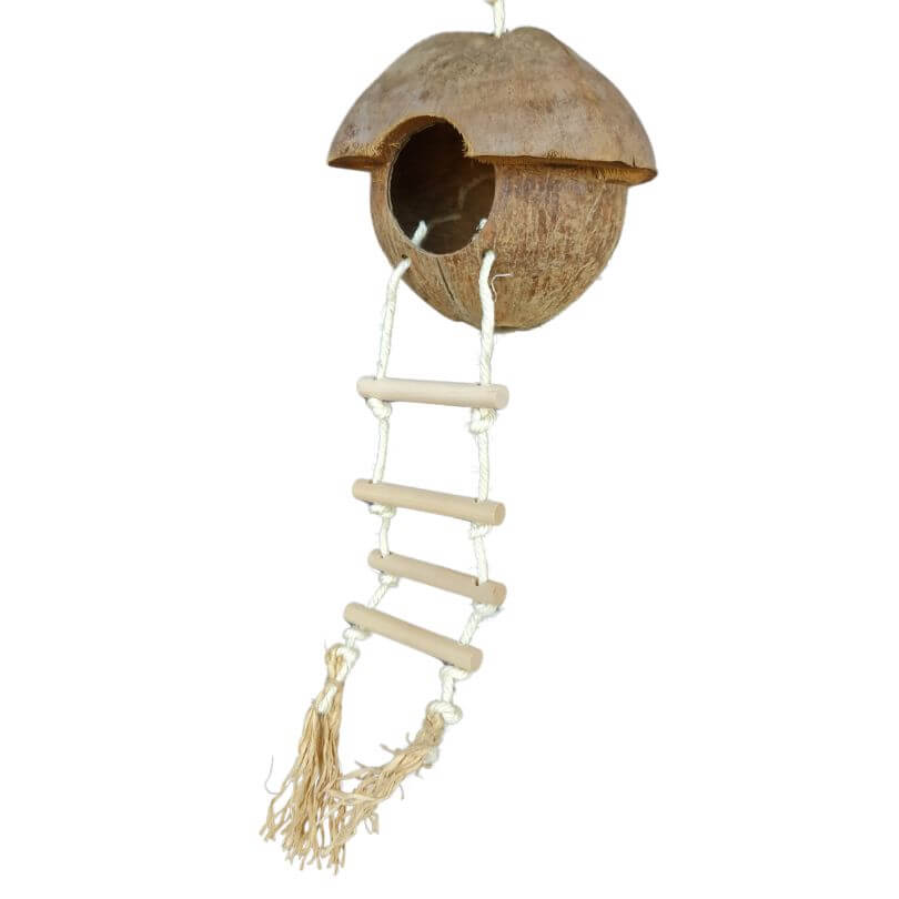 Coconut Hut and Ladder