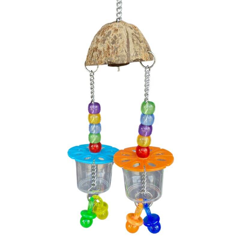 Coconut Twin Cup Forager