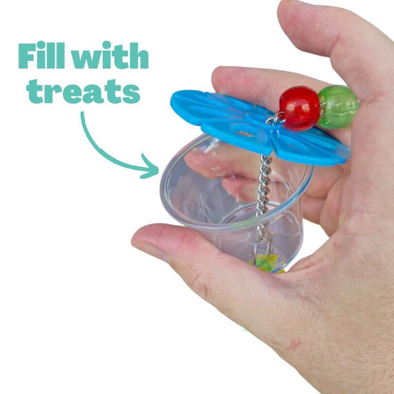 Coconut Twin Cup Forager