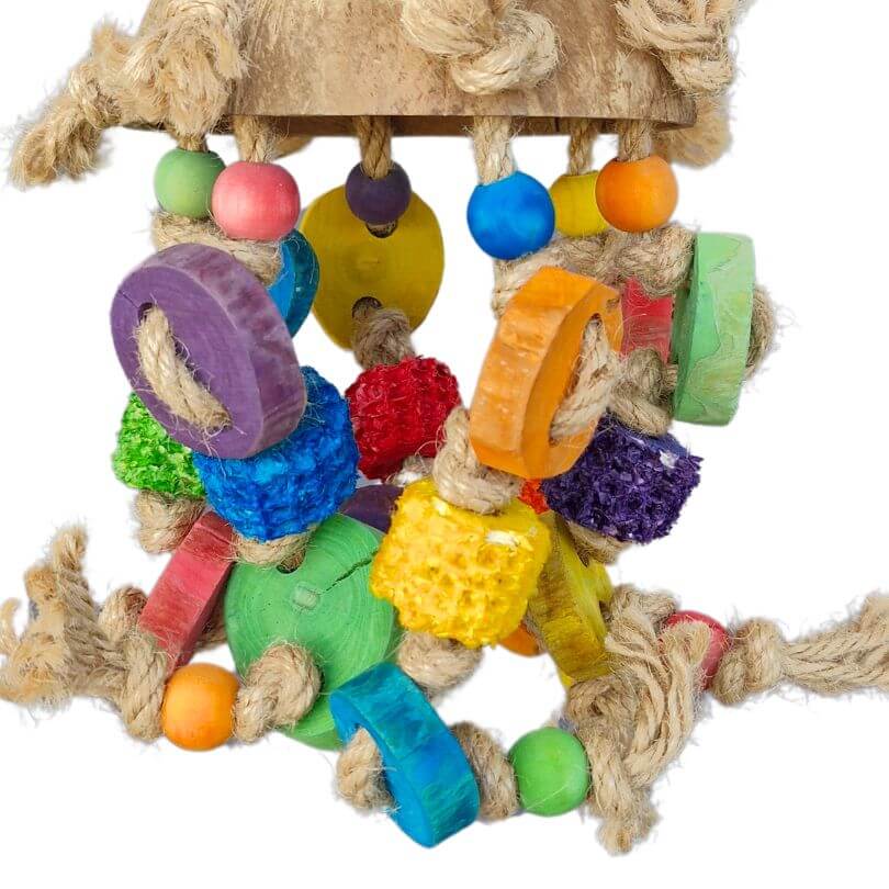 Coconut Rainbow Chimes