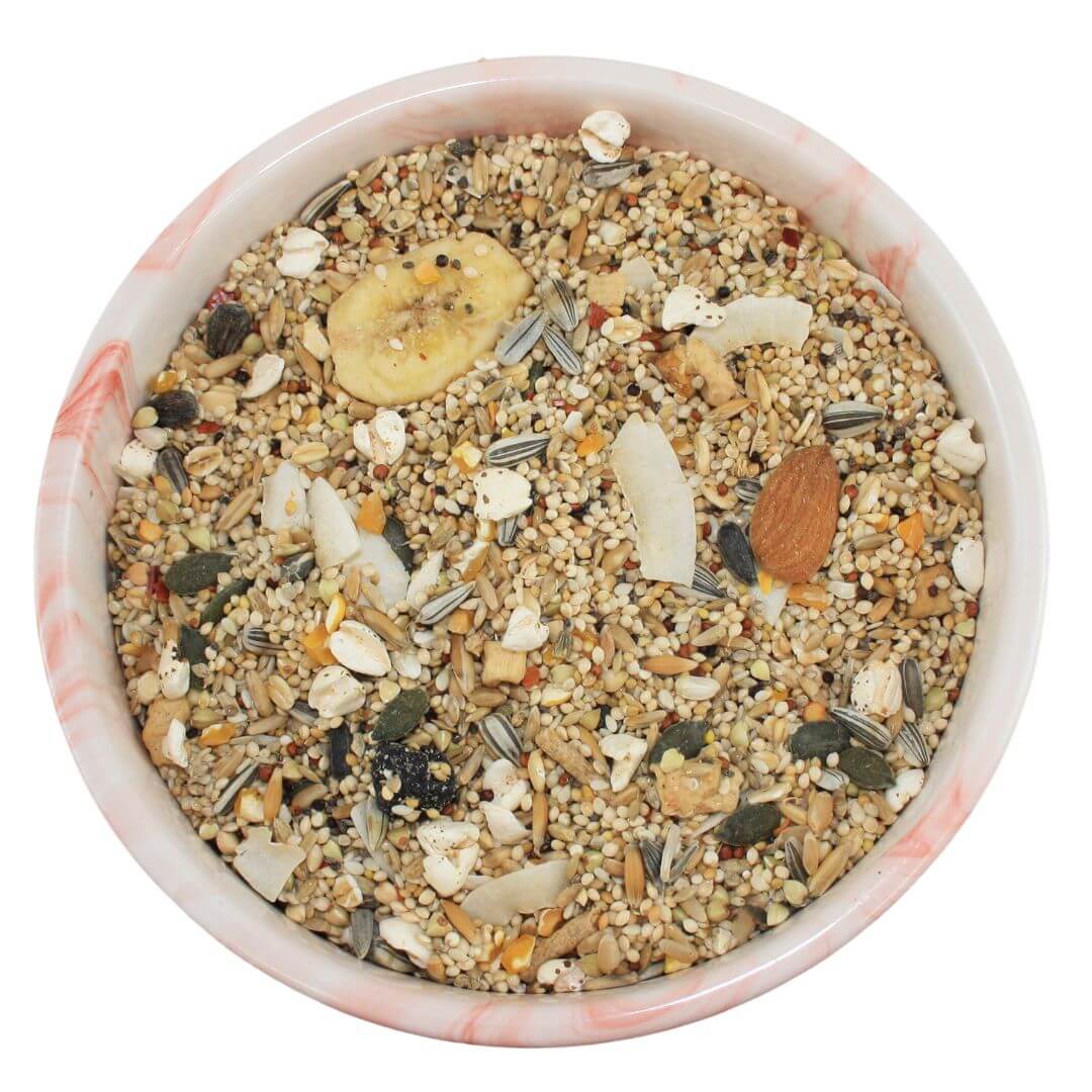 Feather Chef Conure Blend