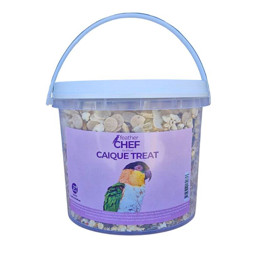 Feather Chef Caique Treat