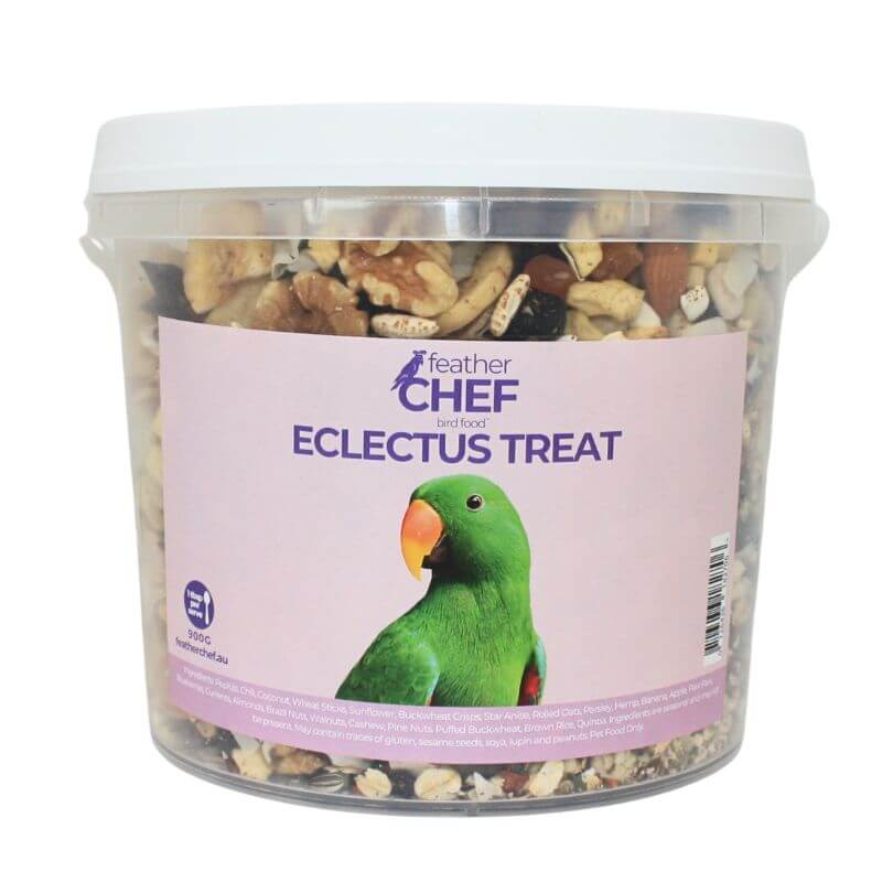Feather Chef Eclectus Treat