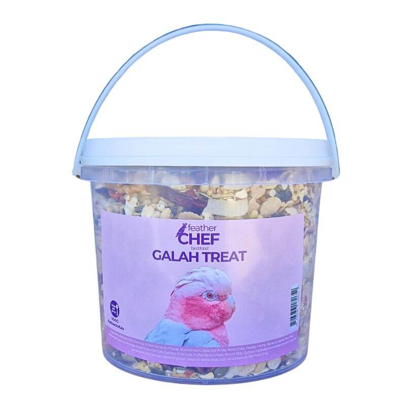 Feather Chef Galah Treat