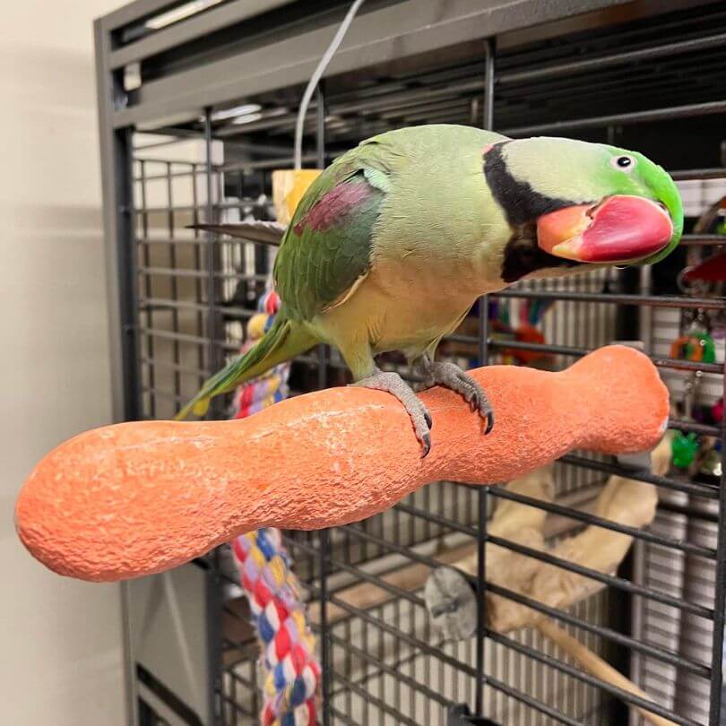 Footcare Wavy Mineral Perch