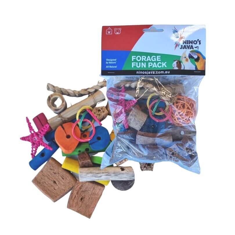 Forage Fun Refill