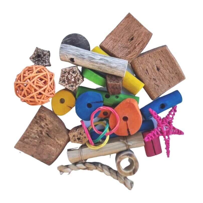 Forage Fun Refill
