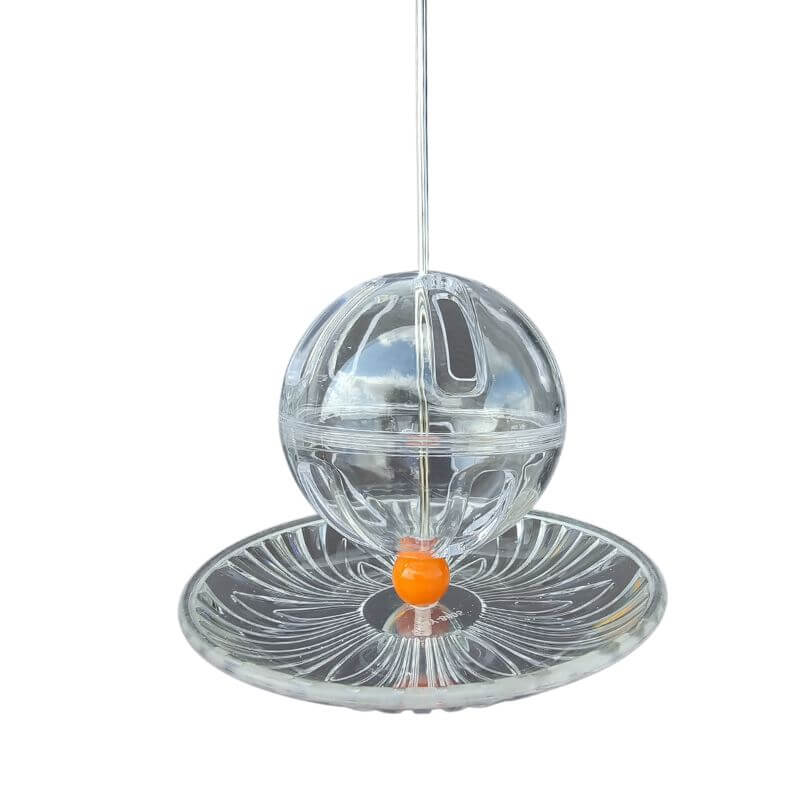 Foraging Buffet Ball and Catch Bowl