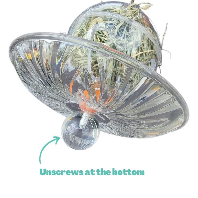 Foraging Buffet Ball and Catch Bowl