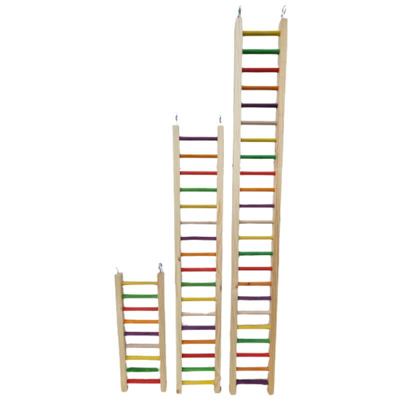 Giant Rainbow Ladders