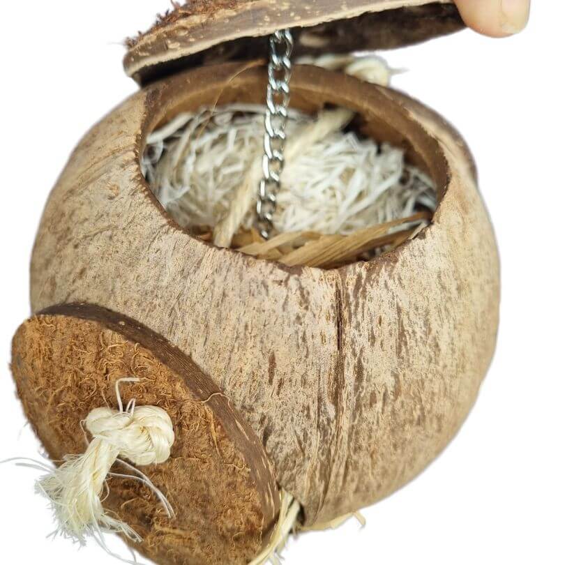 Go Nuts Forager