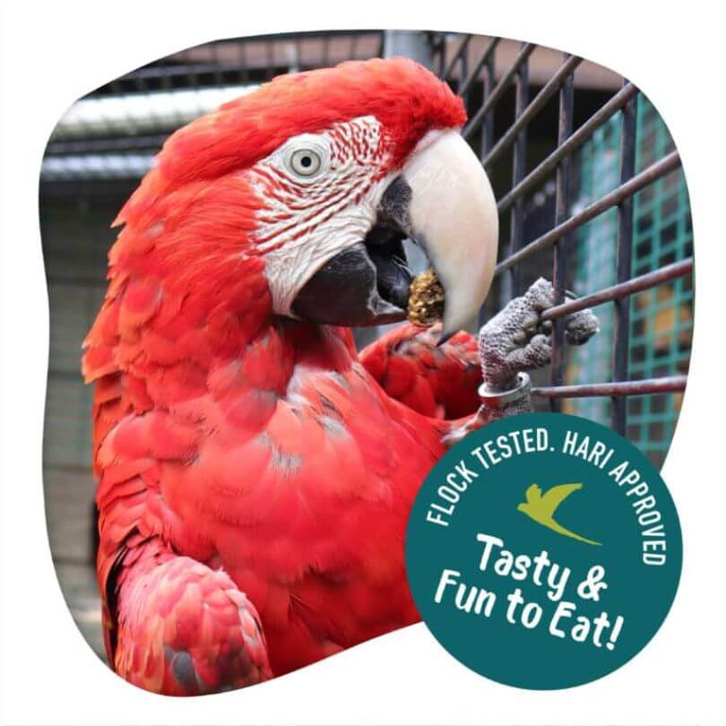 Hari Little Foragers Veggie Nuggets 525g