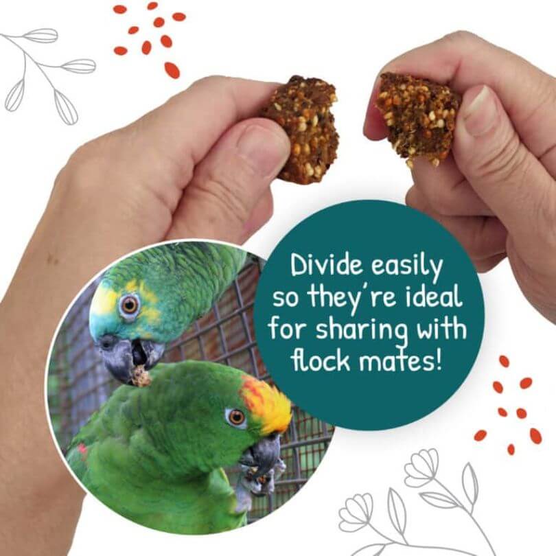 Hari Little Foragers Veggie Nuggets 525g