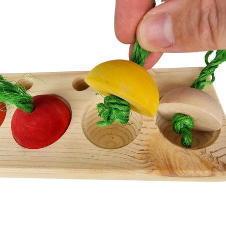 Hidden Cups Interactive Toy