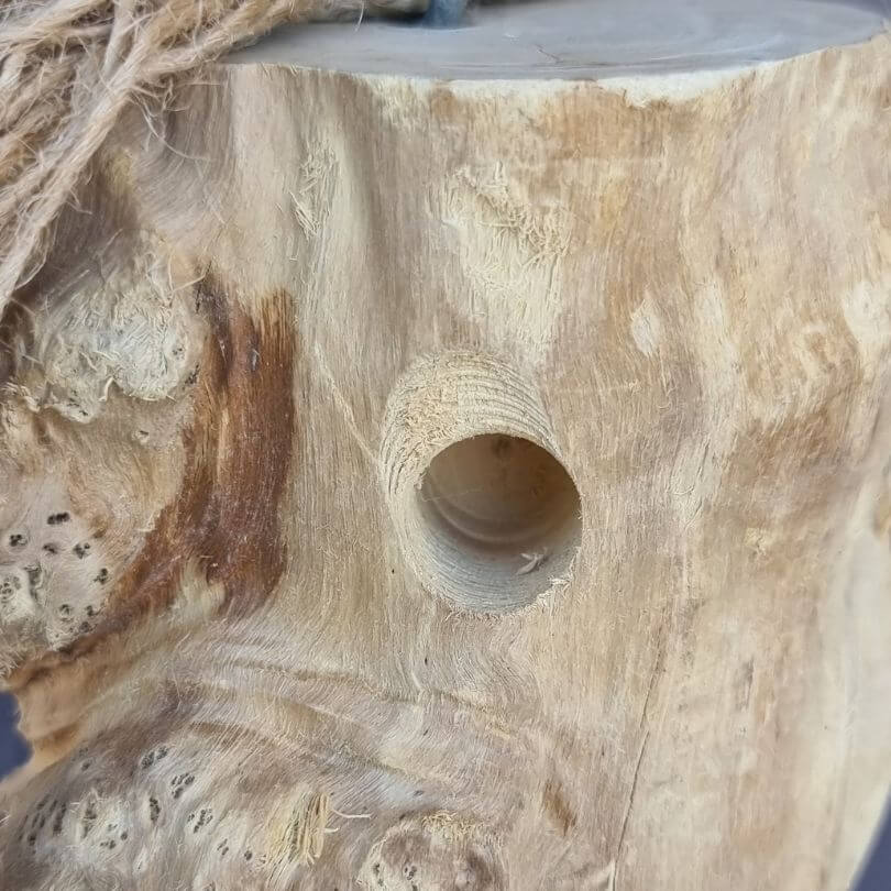 Java Foraging Trunk