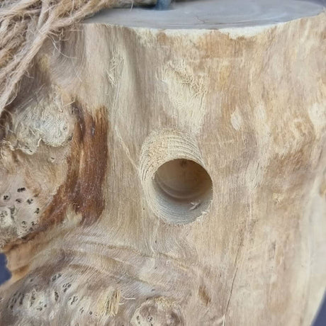 Java Foraging Trunk