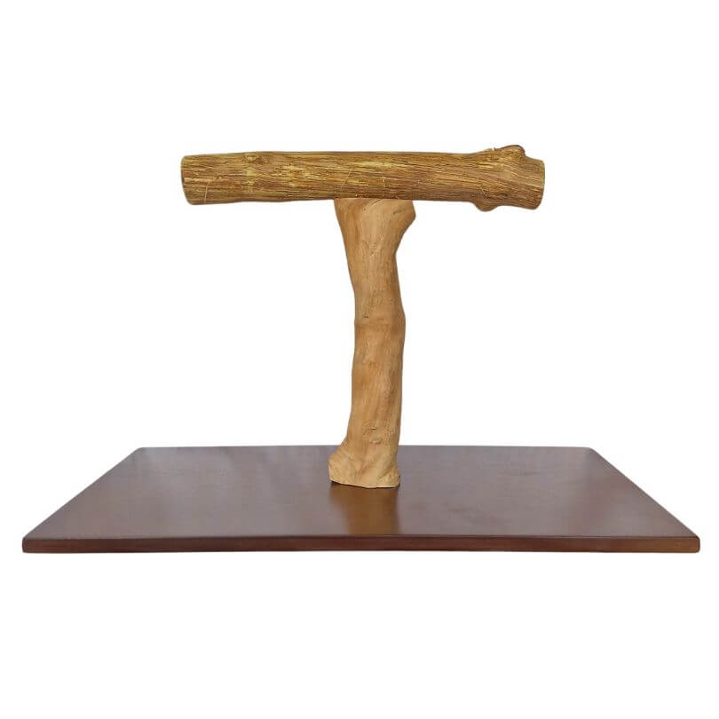 Java Parrot T Stand – Queenslander Aviaries