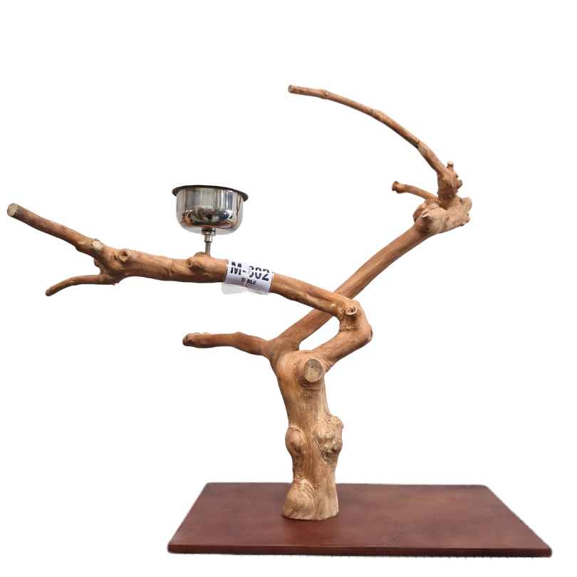 Java Tabletop Play Gym 802