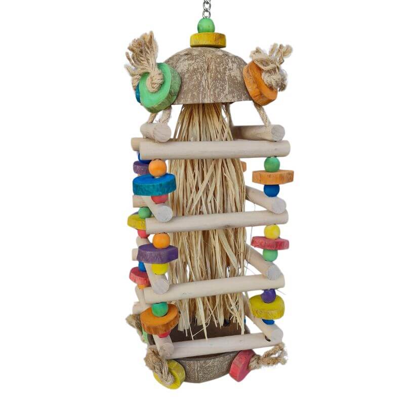 Jellyfish Climb and Shred