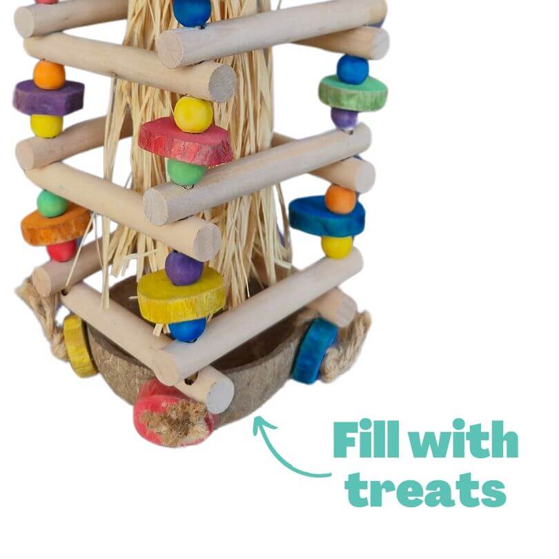 Jellyfish Climb and Shred