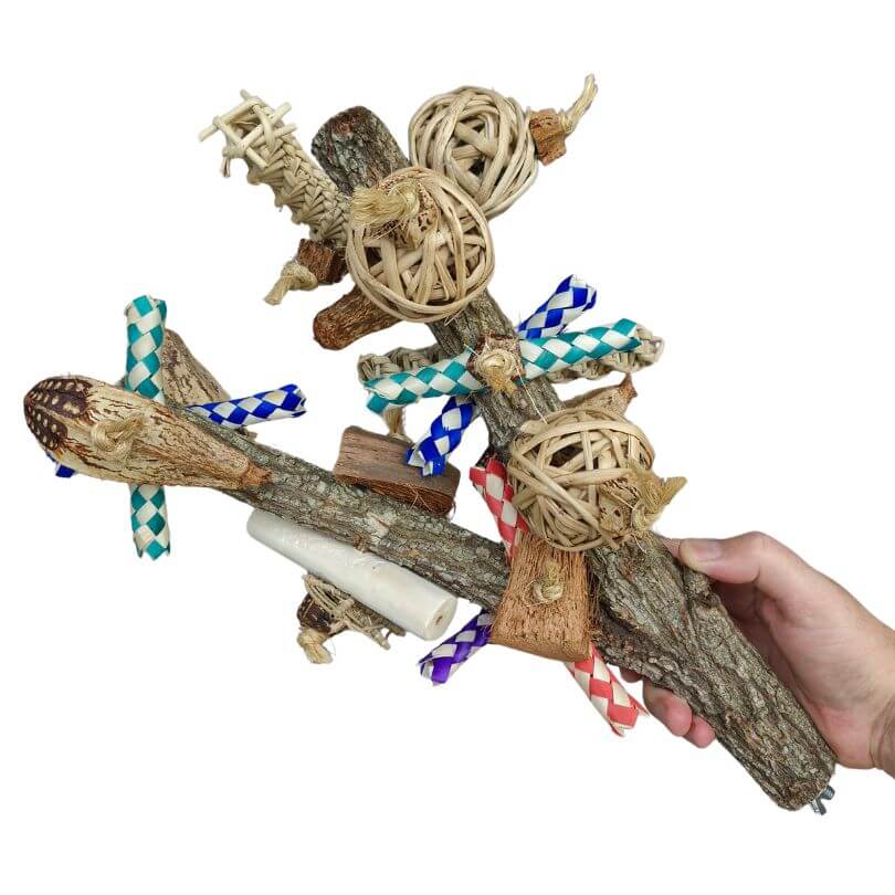 Raw for Birds Loaded Bird Perch