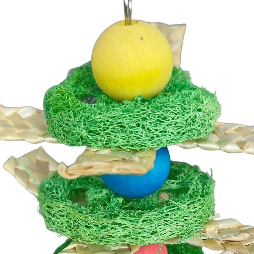 Loofa Tree Nibble