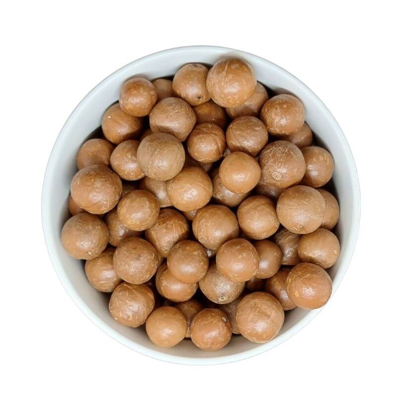 Macadamia Nut in Shell