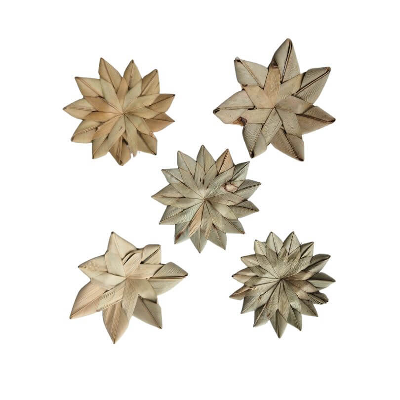Palm Stars 5pk