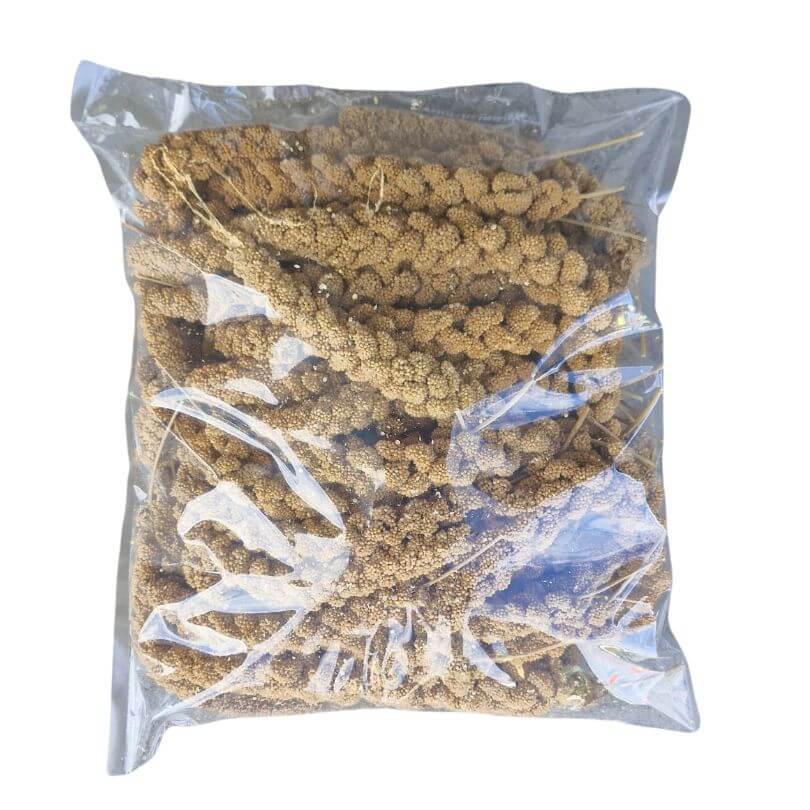 Murphys Panorama Millet Sprays 1kg