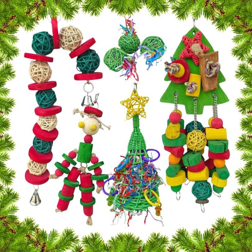 Parrot Christmas Bundle