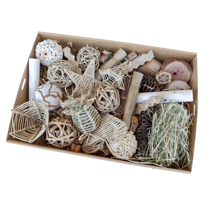 Parrot Naturals Forage Box
