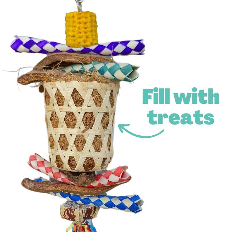 Party Popper Chew and Forage