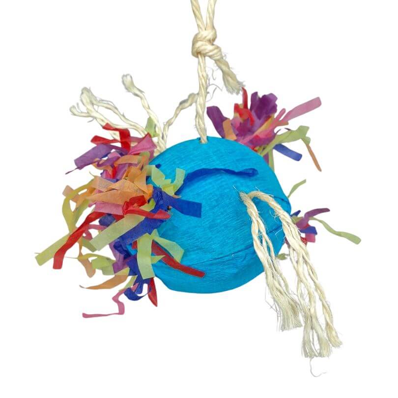 Pinata Parrot Egg