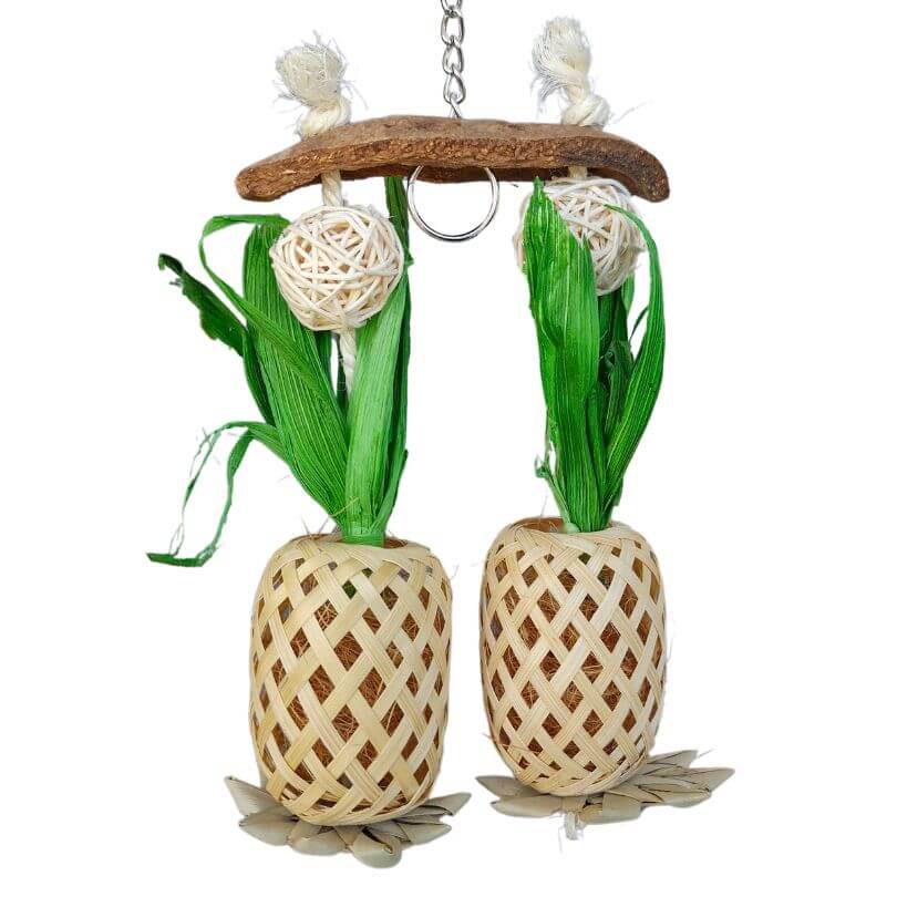 Pineapple Paradise Forager