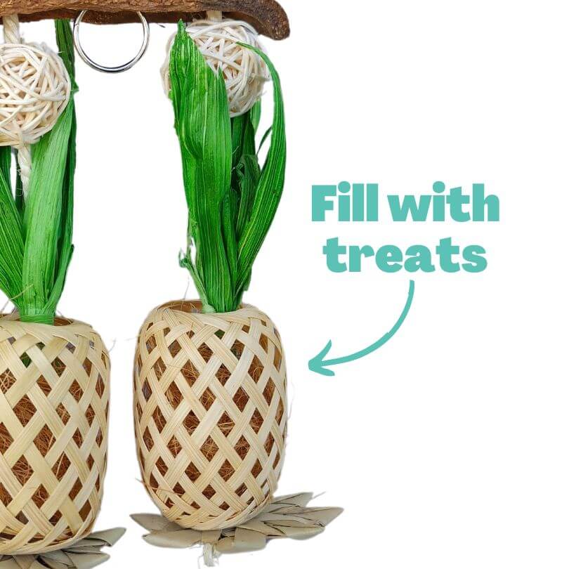 Pineapple Paradise Forager